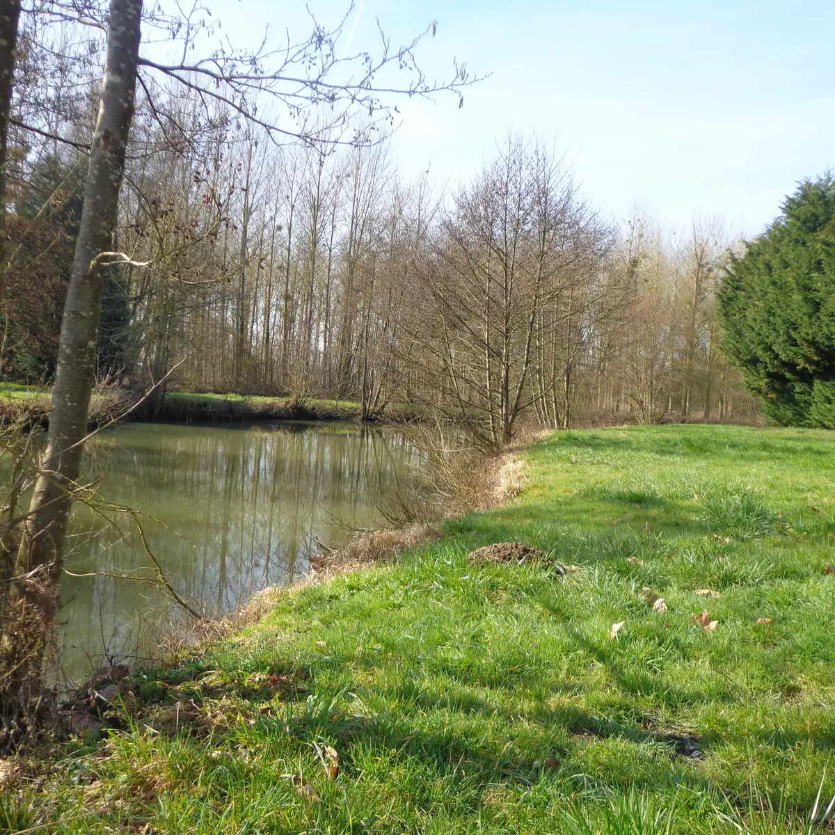 Accès à la Braye à Bessé La Chaumière (3)
