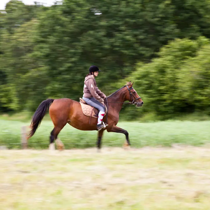 LOI72-vibraye-equitation-6