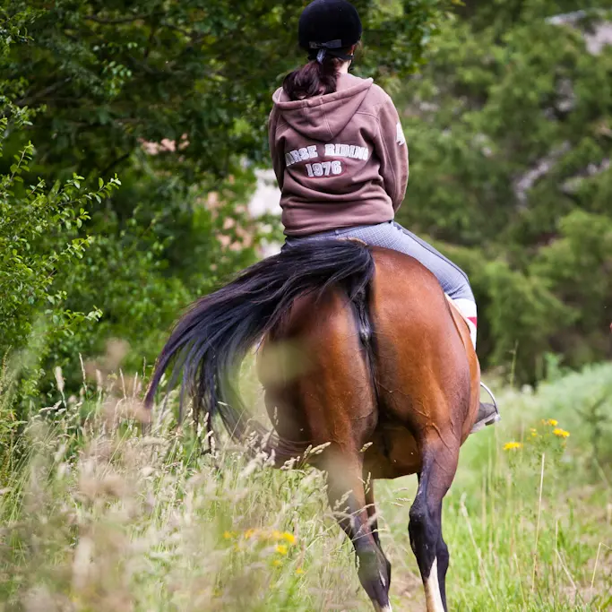 LOI72-vibraye-equitation-4