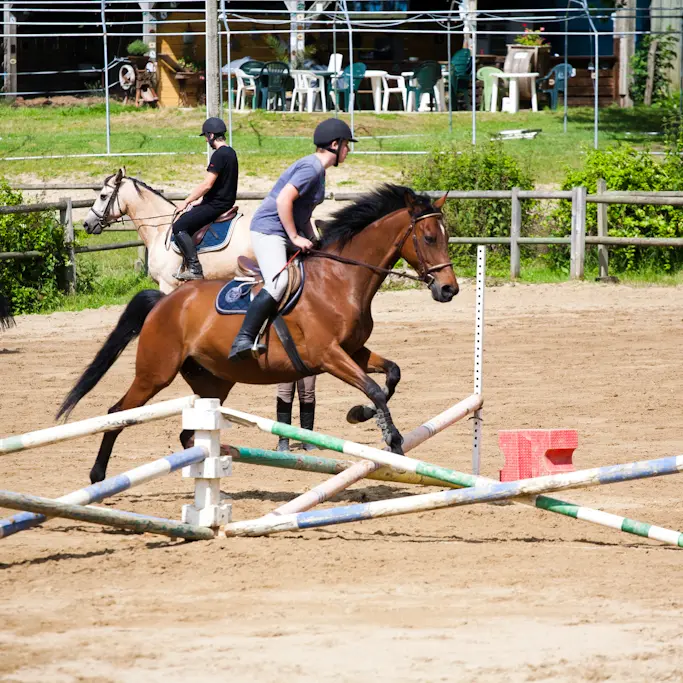 LOI72-vibraye-equitation-3