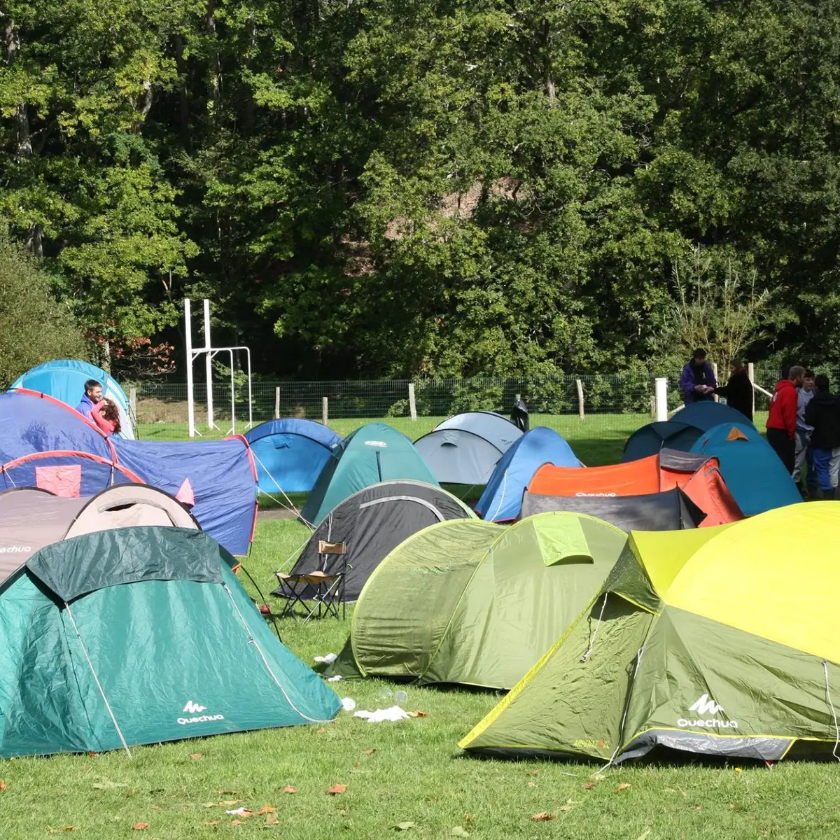 Camping des Alpes Mancelles - Saint-Léonard-des-Bois - emplacements