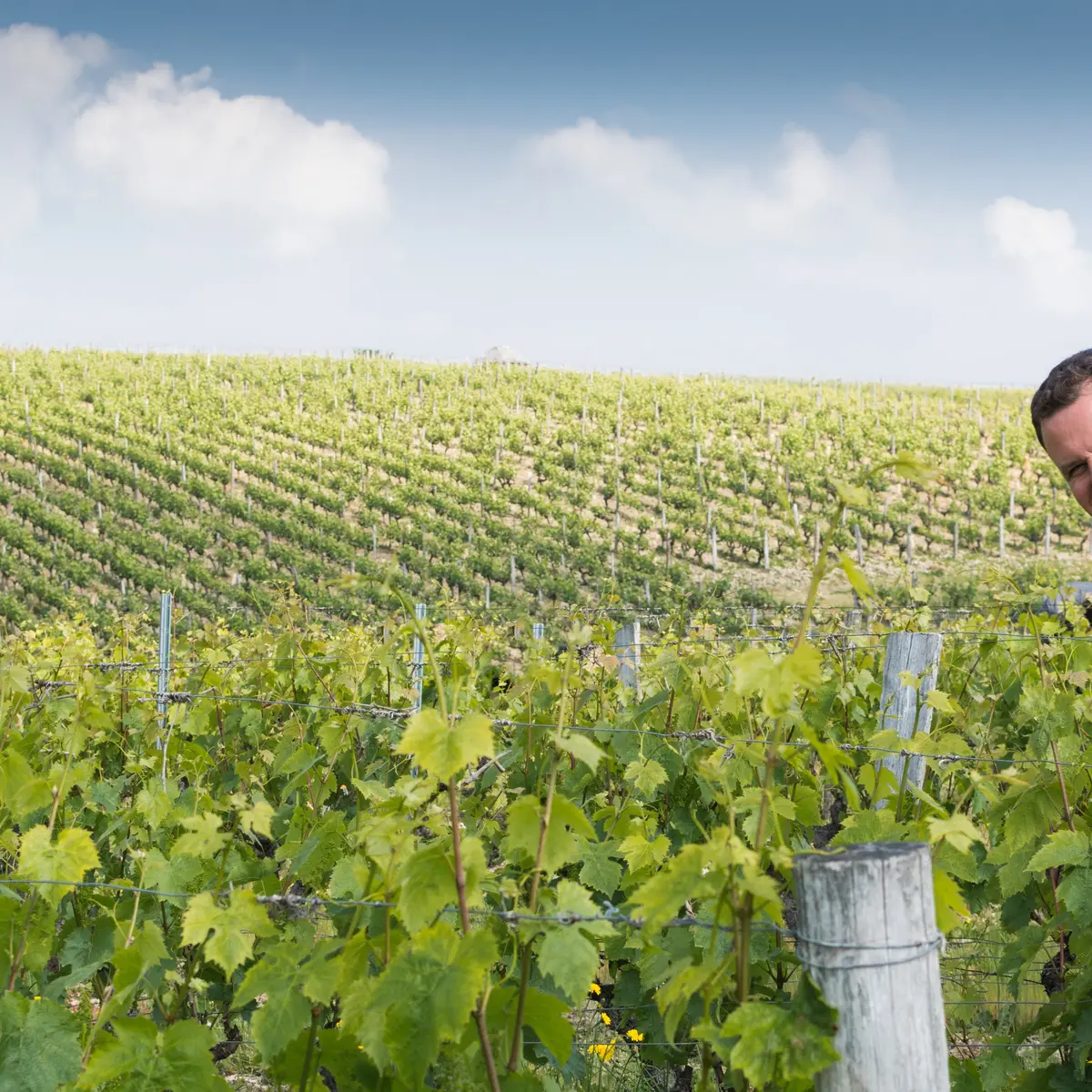 Olivier Champion_Poncé sur le Loir