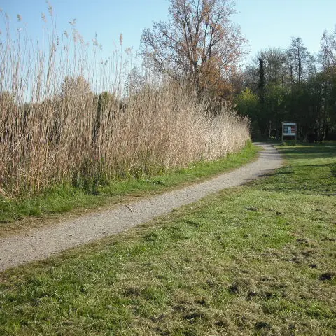 Circuit Les étangs du Bois Joalland et de Guindreff