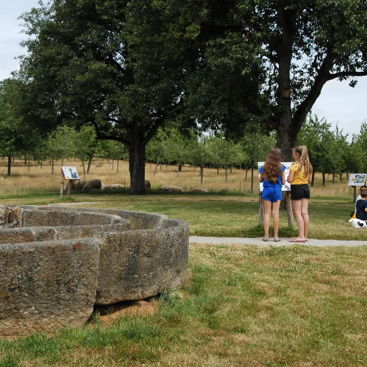 sentier musee du cidre Lassay-les-Châteaux (53)