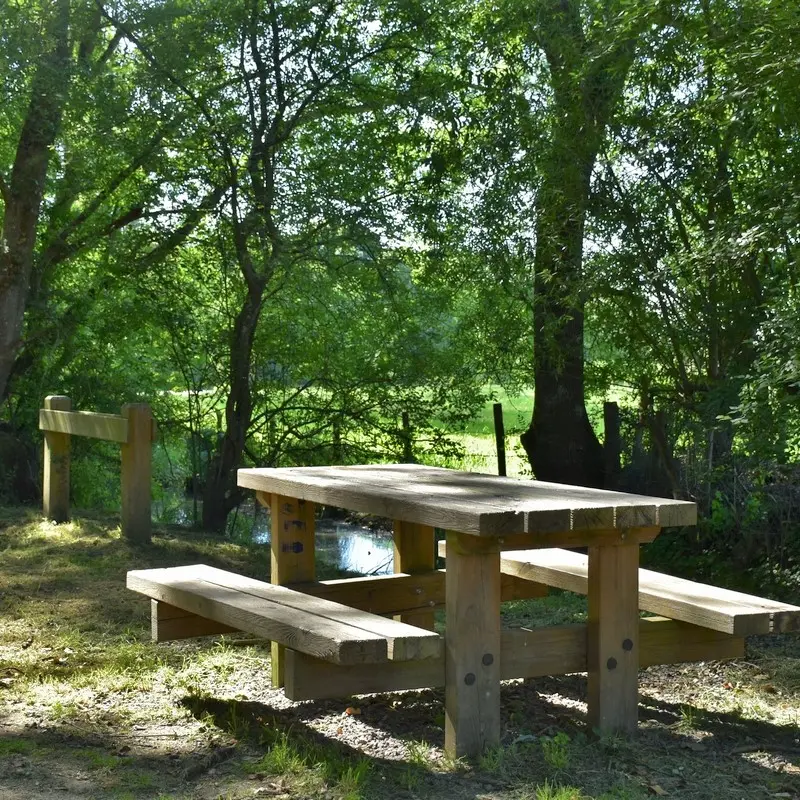 Aire de pique-nique Besné, le Brivet