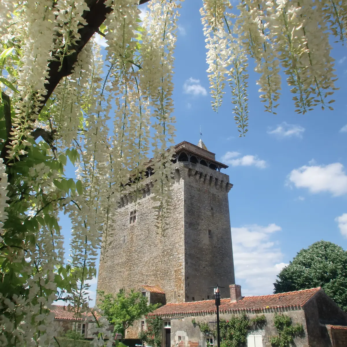Donjon de Bazoges en Pareds