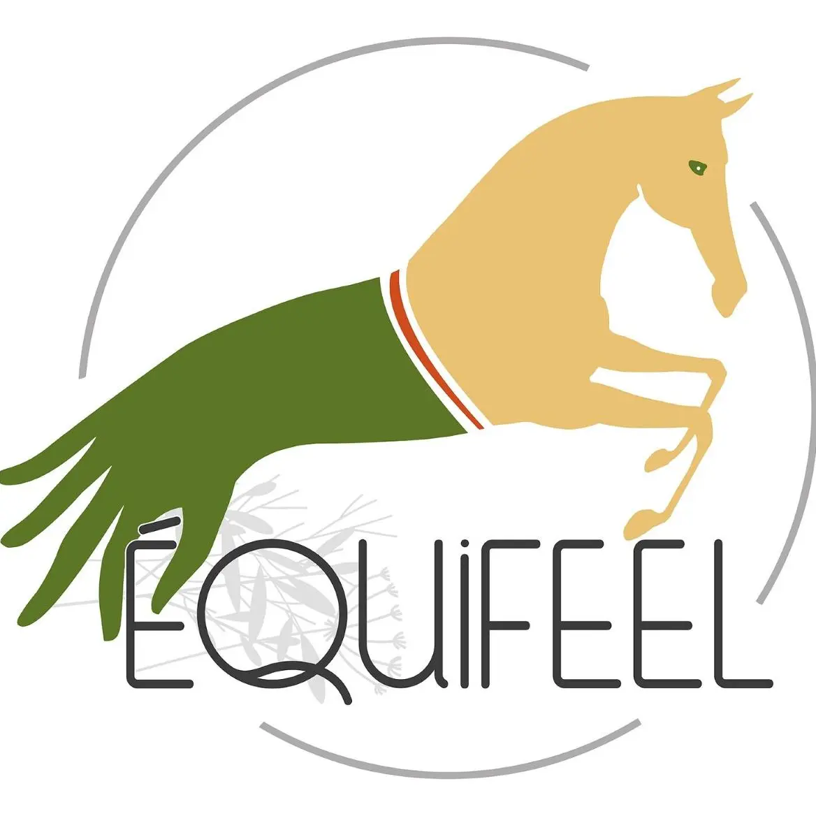 Equifeel
