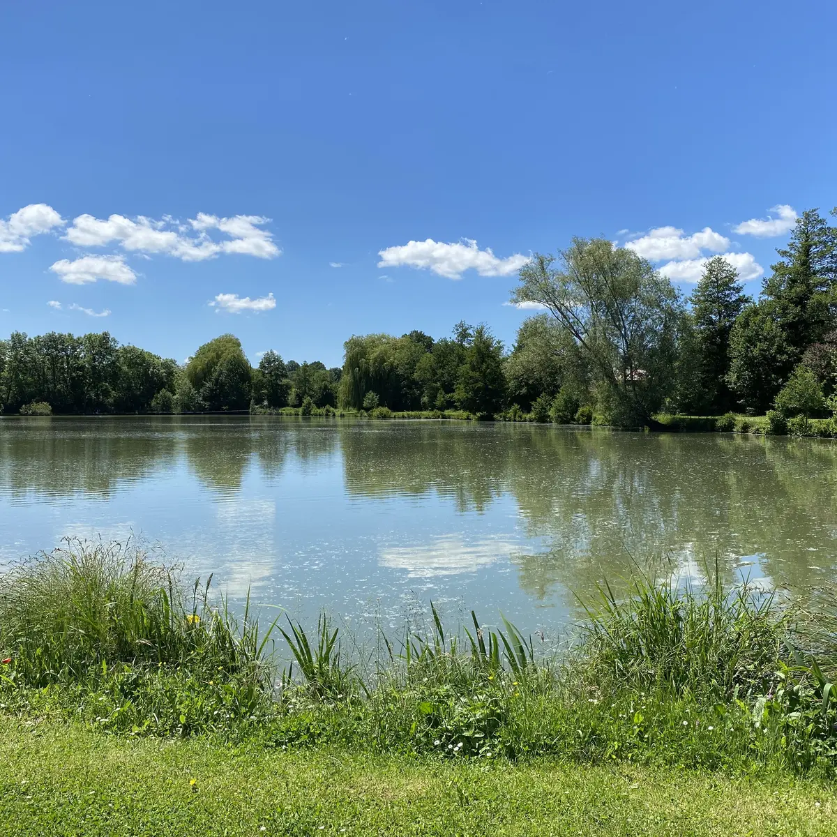 Étang de la Pêcherie - Vernie