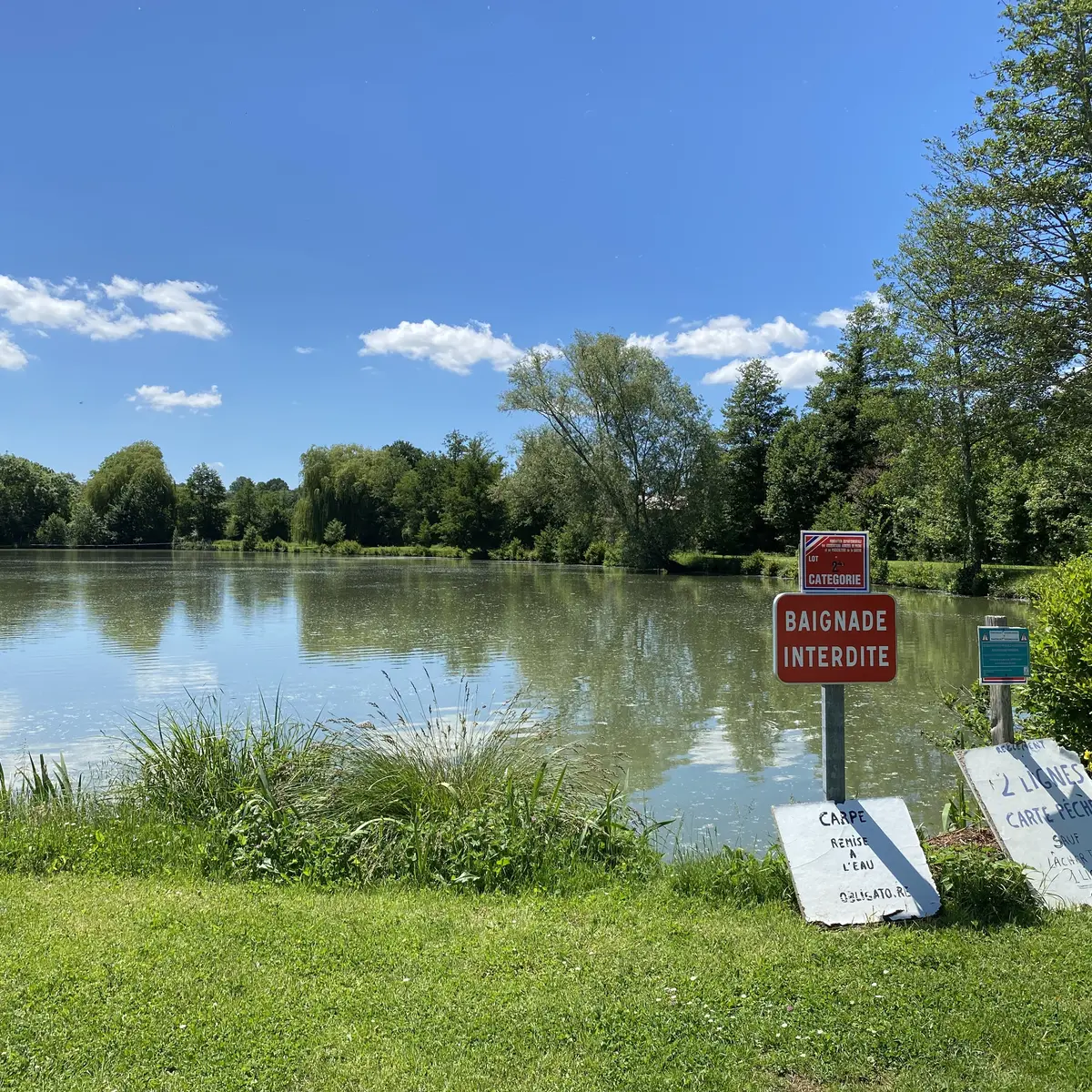 Étang de la Pêcherie - Vernie