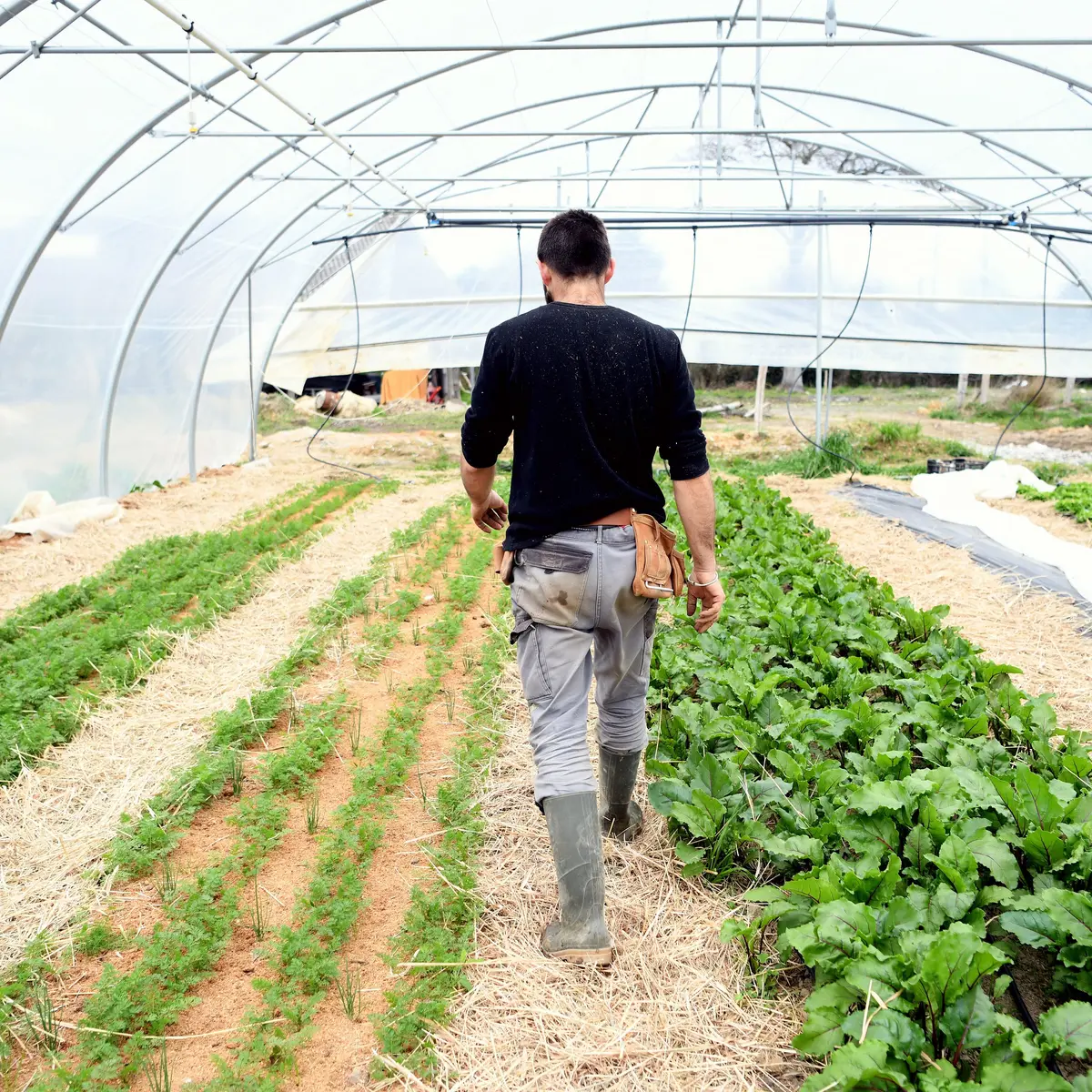 La ferme des petites mottes à Saint-Nazaire