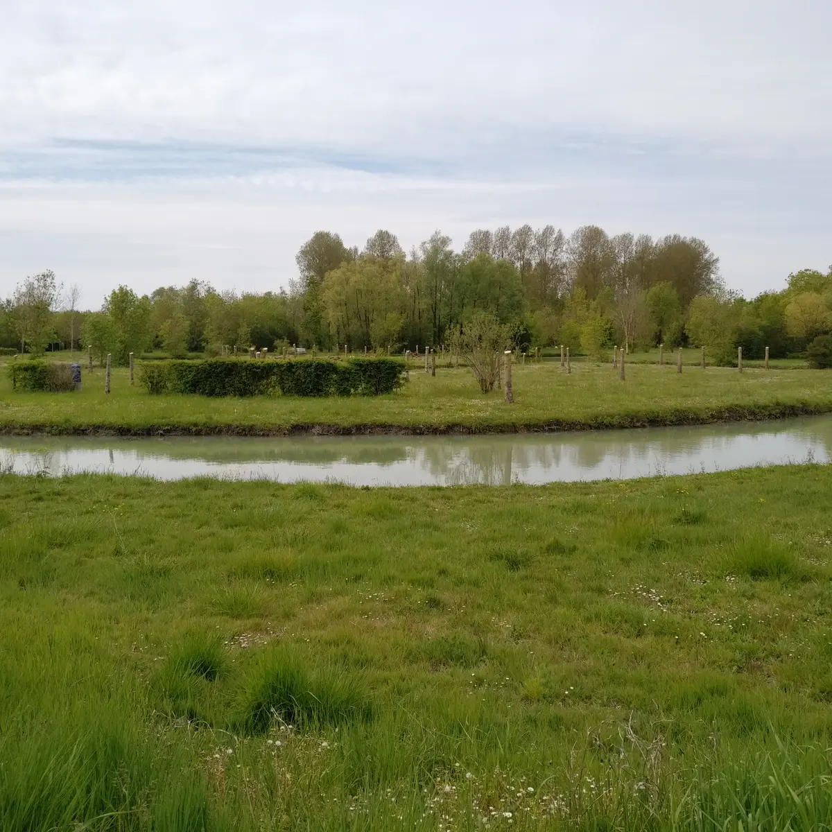 La pêcherie Damvix (2)