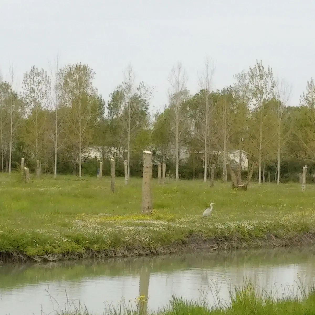 La pêcherie Damvix (3)