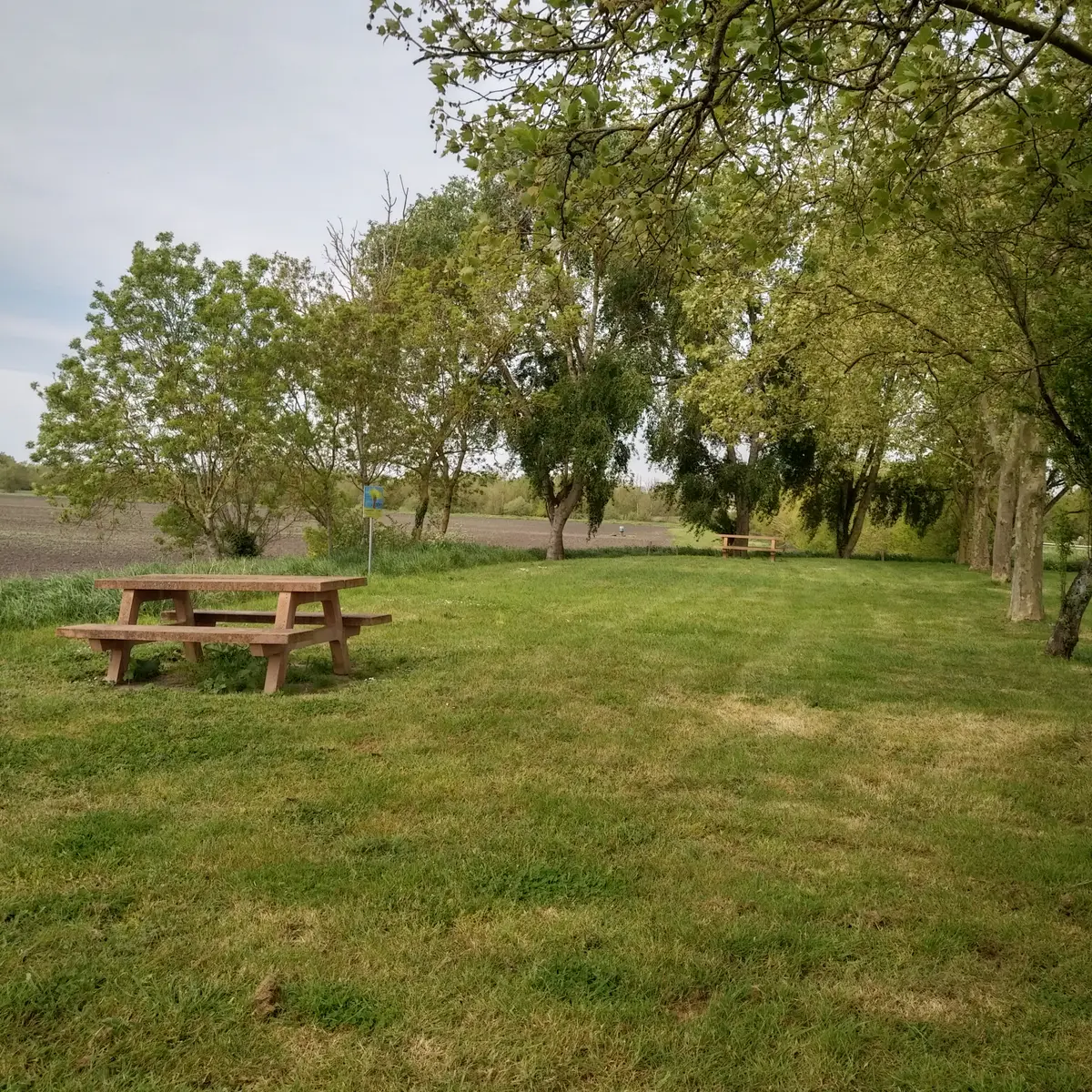 La petite Bernegoue à Damvix (2)