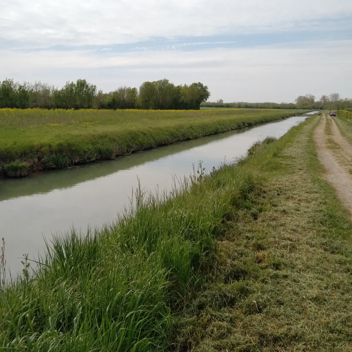 La petite Bernegoue à Damvix