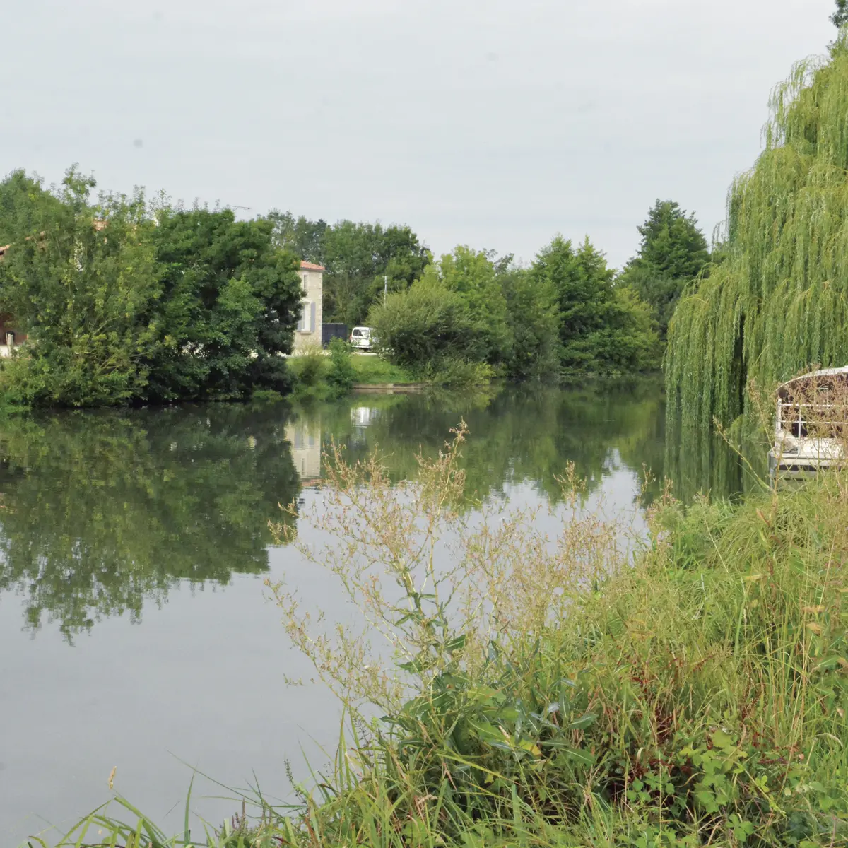 La petite sèvre
