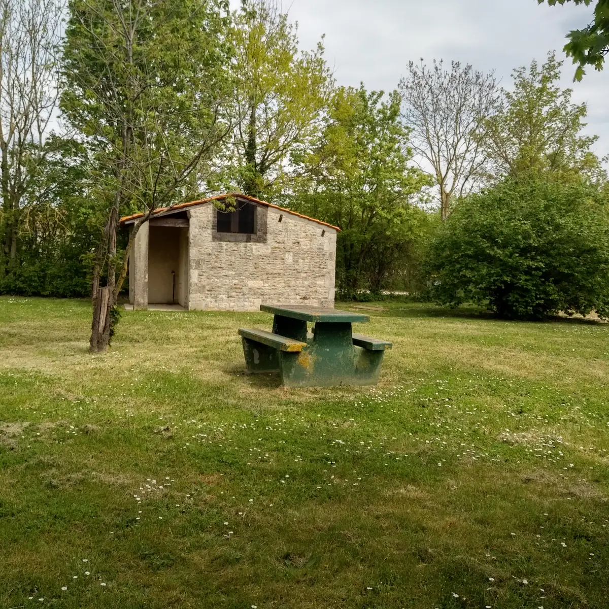 Les Plantes à Liez (4)