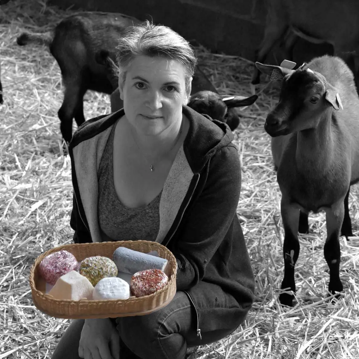 Fromagerie du Purdeau - Thouarsais Bouildroux - 85