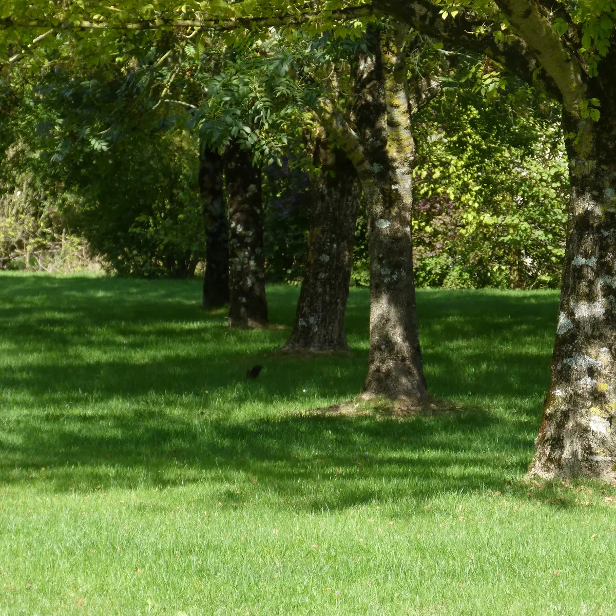 AIRE LA FONTAINE À BOUILLÉ-COURDAULT