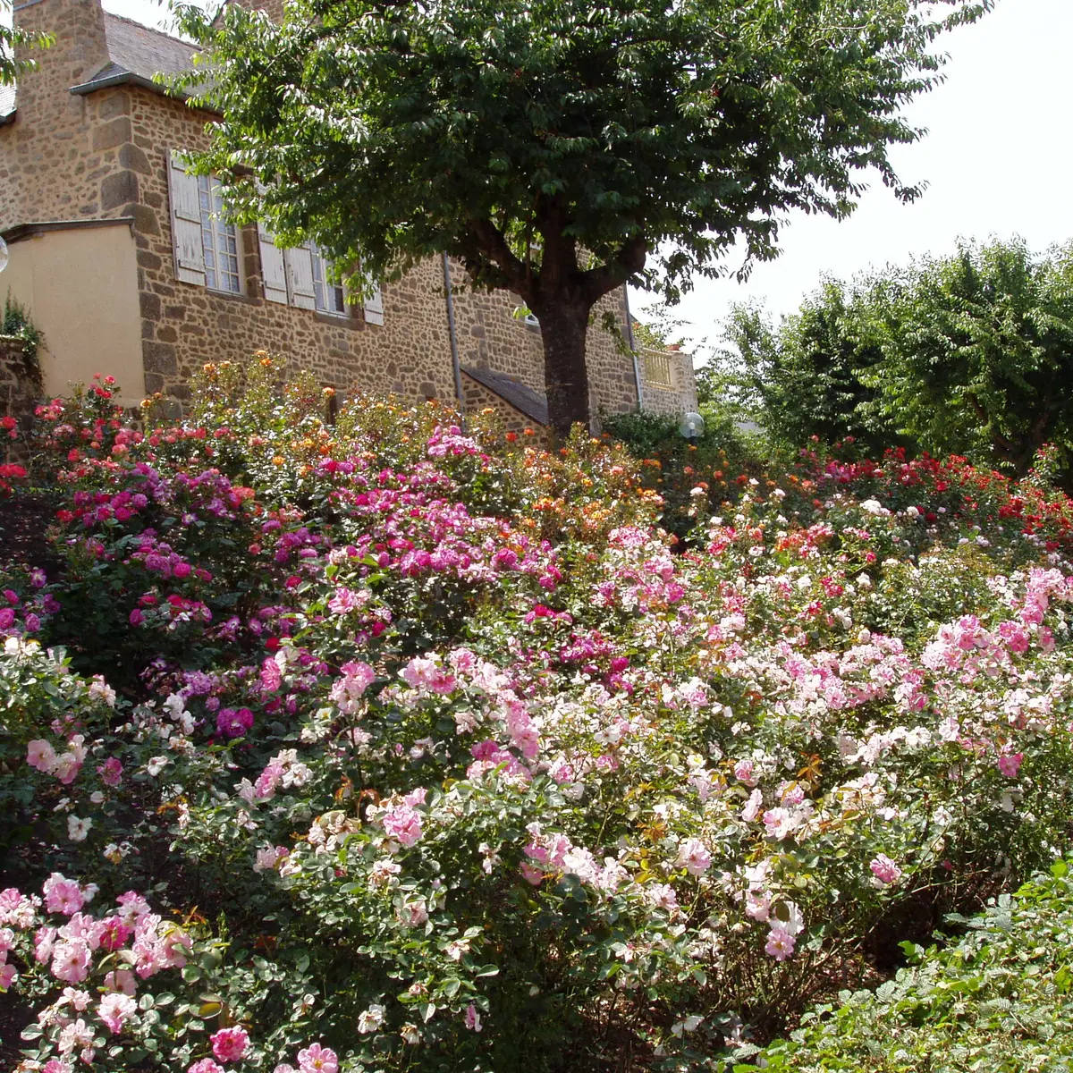 Roseraie de Lassay-les-Châteaux