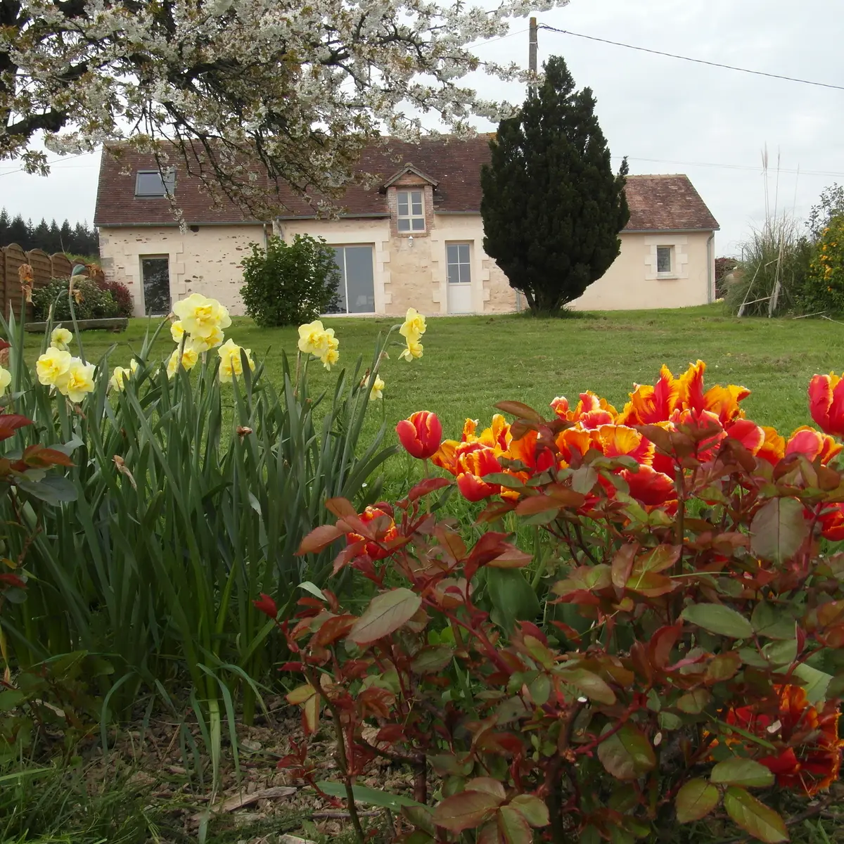 Gîte La Calandre - Ancinnes - extérieur