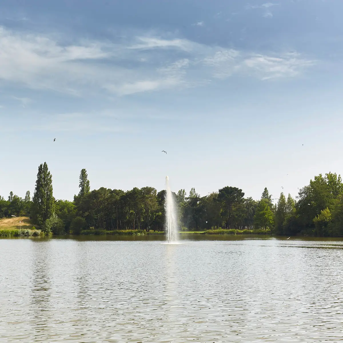 Etang du Parc Paysager de Saint-Nazaire