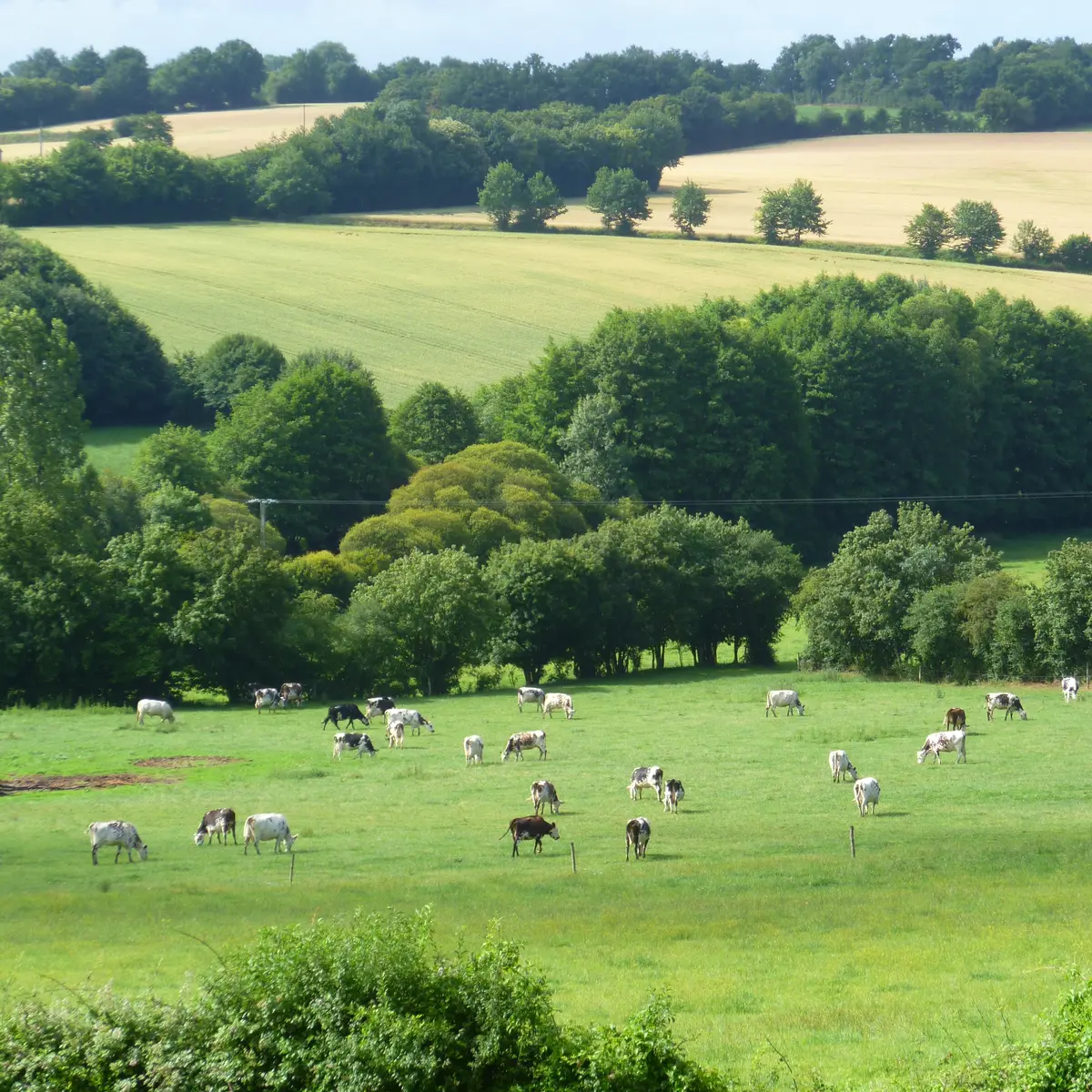Belle Vallée du loir