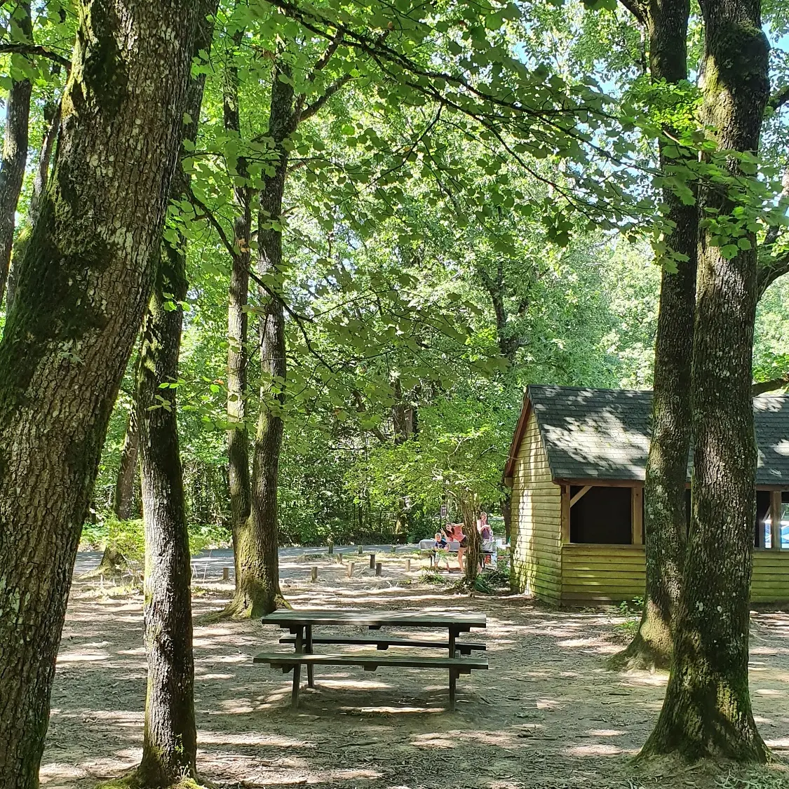 aire-de-pique-saint-luc-l-orbrie-foret-de-mervent-85200- (3)