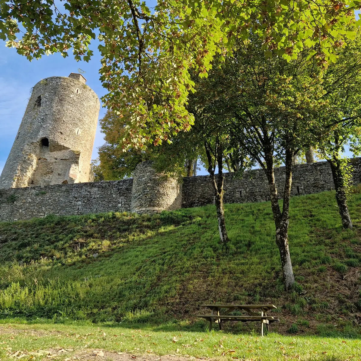 aire-pique-nique-tour-melusine-vouvant- (1)