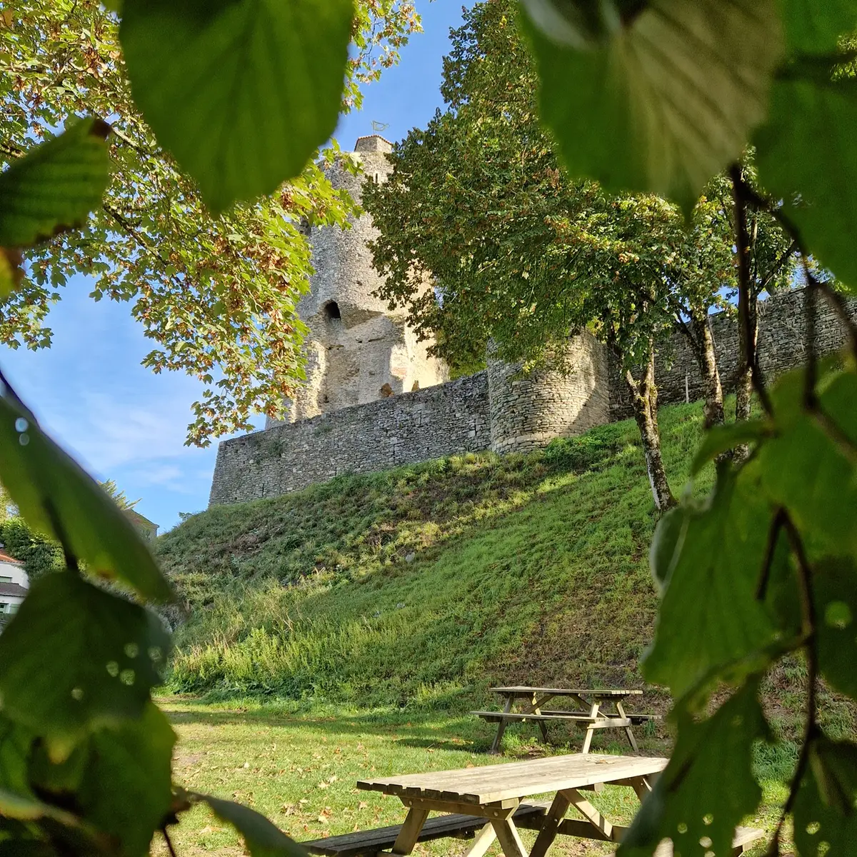 aire-pique-nique-tour-melusine-vouvant- (5)