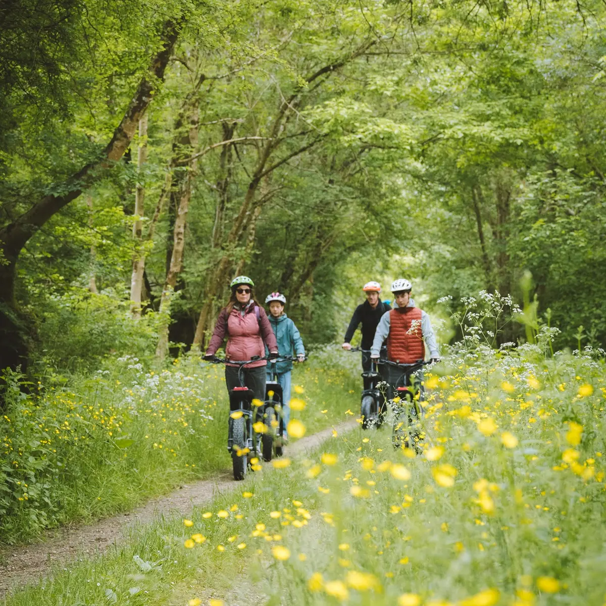 balade en trottinette électrique tout-terrain marais poitevin vendée (6)
