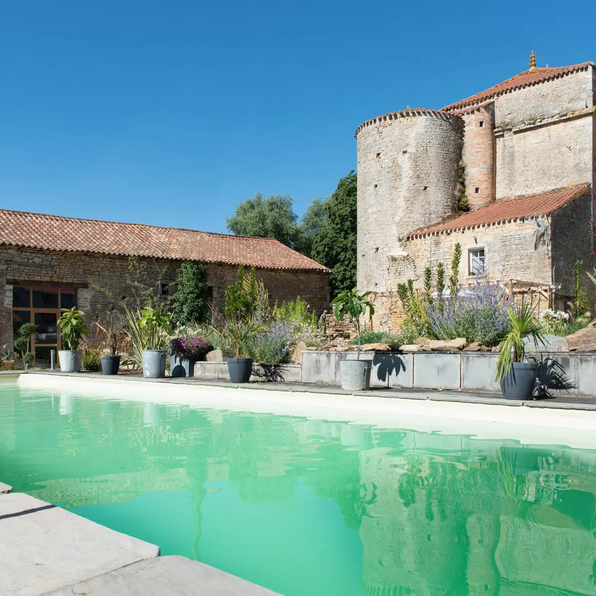 piscine - château de la Cressonnière - Cezais