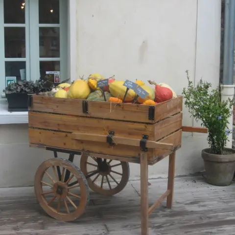 Légumes du jardin potager à vendre