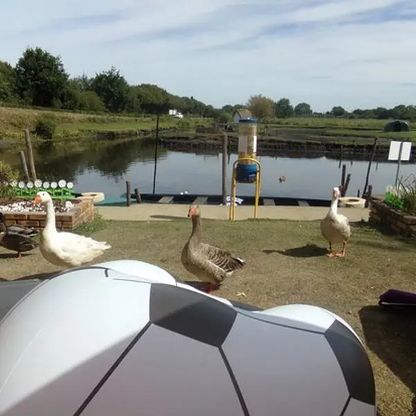 chez-chantal-et-jacky-promenade-en-barque-en-briere-1309821