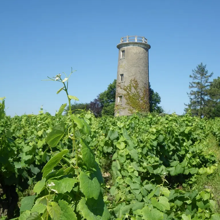 circuit-boucle-sevre-coteaux-la-haye-fouassiere-44-ITI (1)