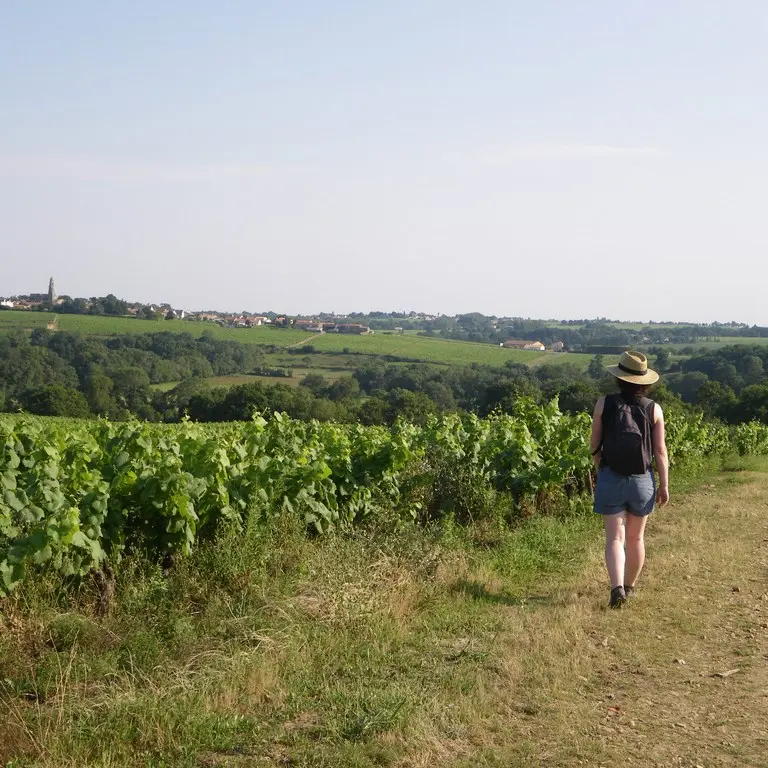 circuit-boucle-sevre-coteaux-la-haye-fouassiere-44-ITI (3)