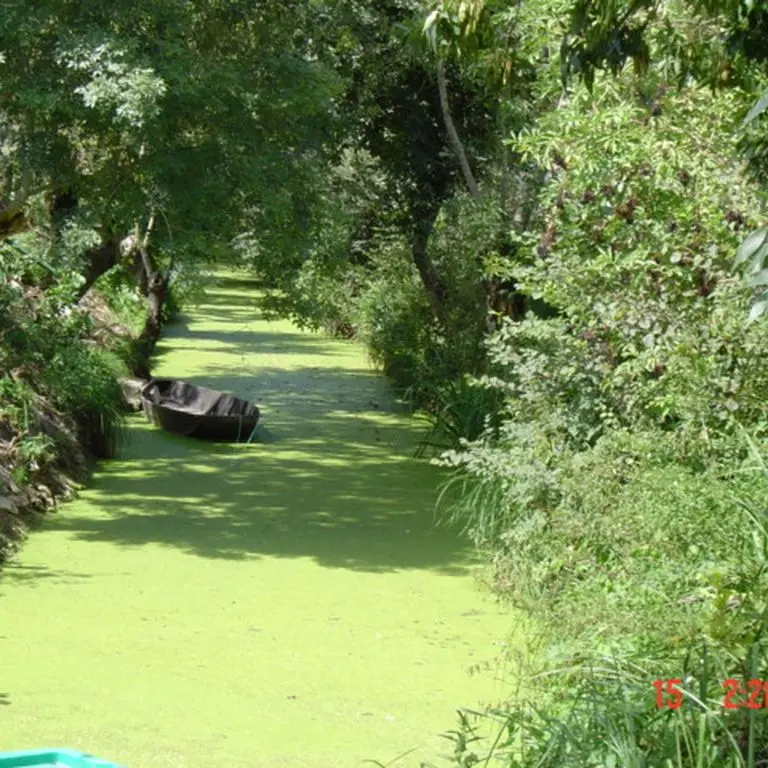 embarcadere-petit-port-sauvage-85-loi-2