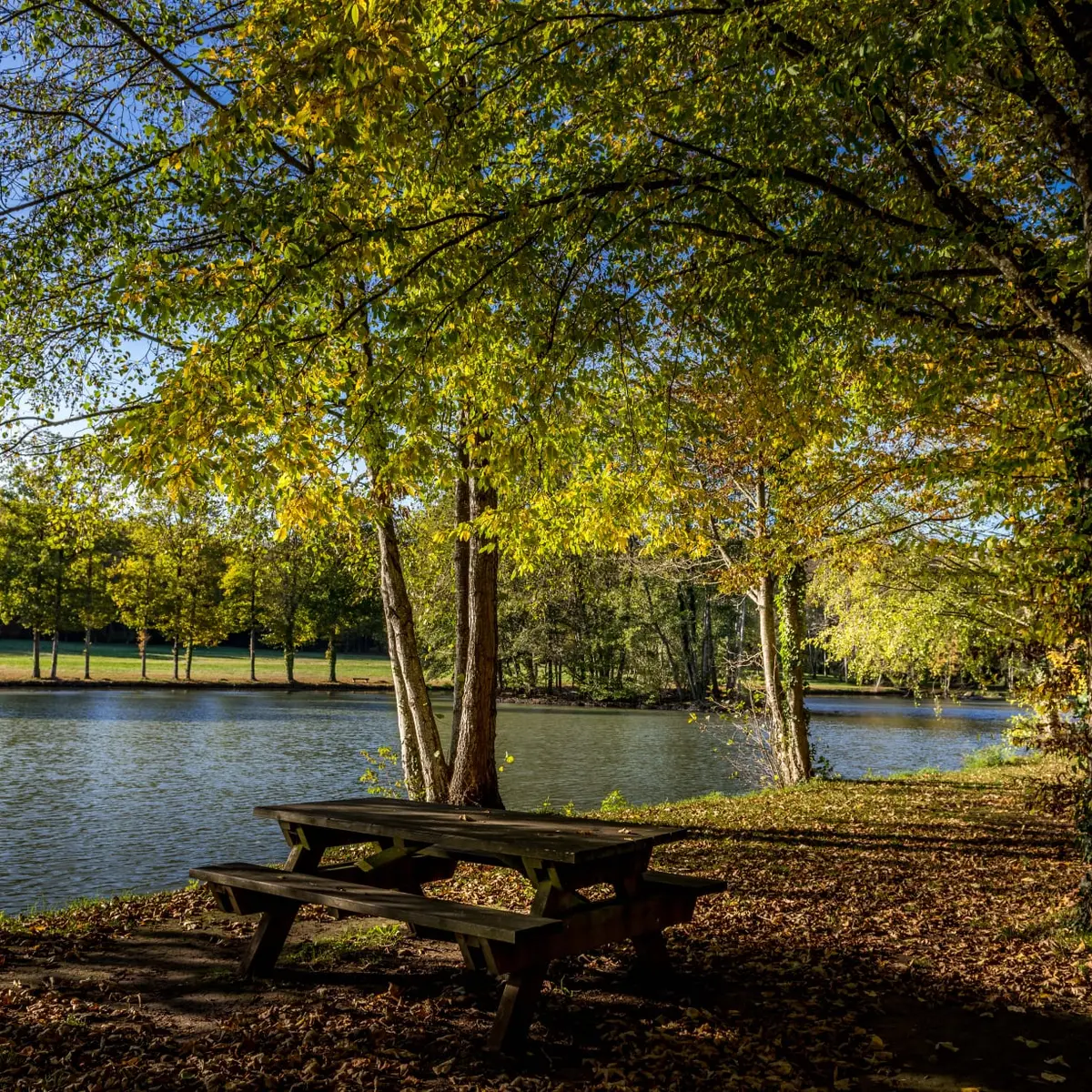 Etang de Courtanvaux