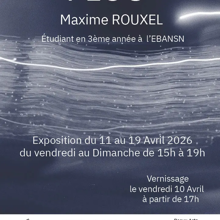 expo Maxime Rouxel affiche jpg
