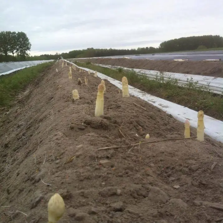 ferme-des-gds-champs3