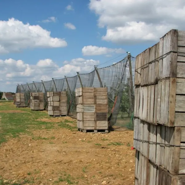 gaec des deux saints2