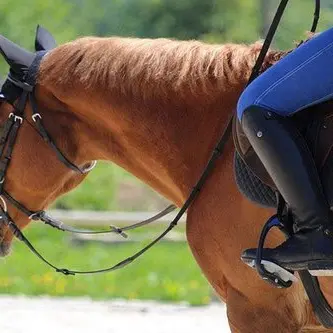 haraslapelois1-LOI72-2