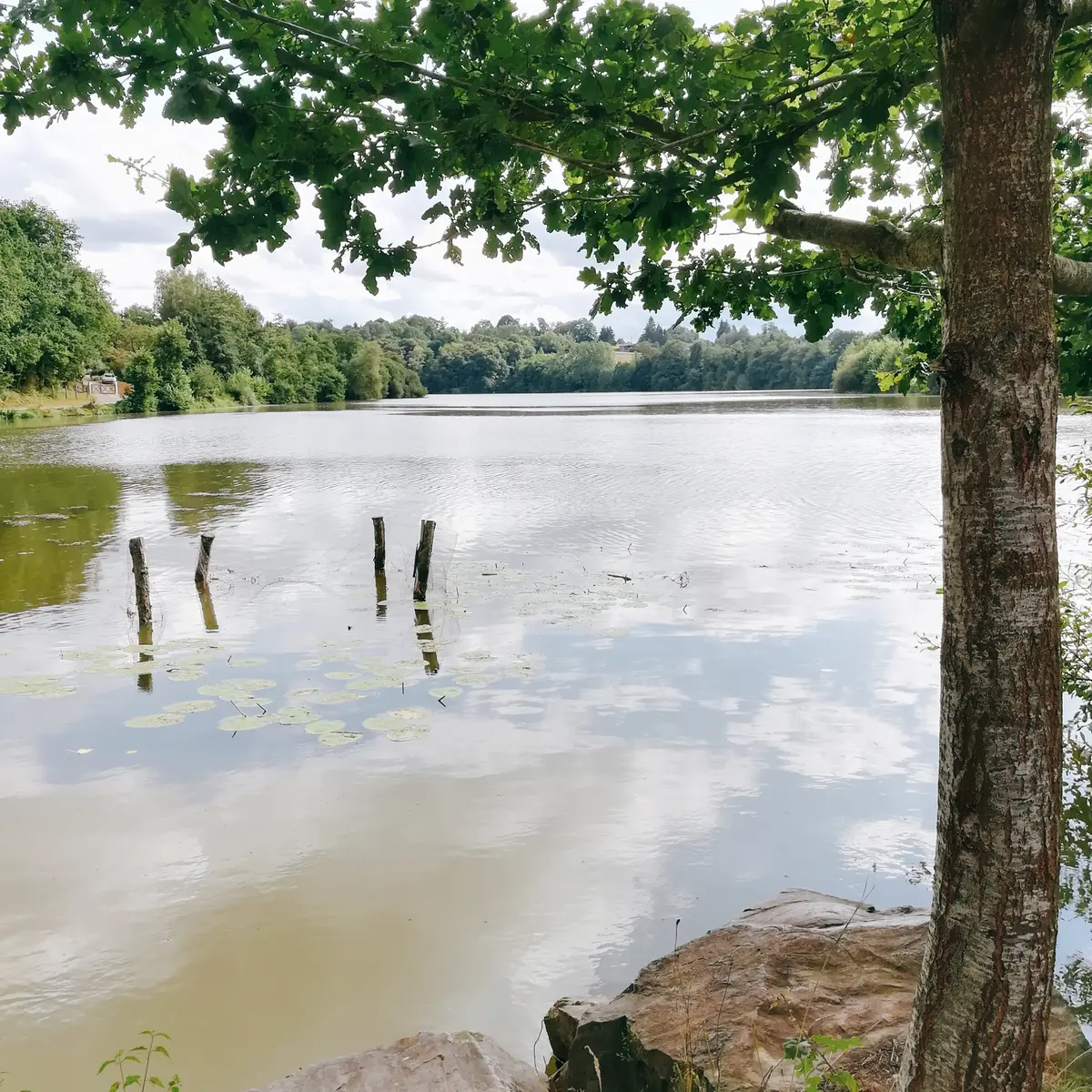 Lac de Haute Mayenne