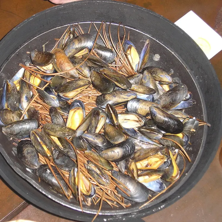 moules-epines-pins