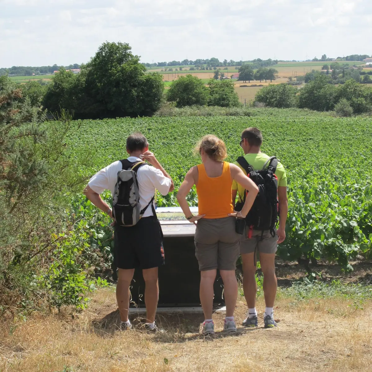 murmures-rochers-observatoire-levignobledenantes-tourisme (1)
