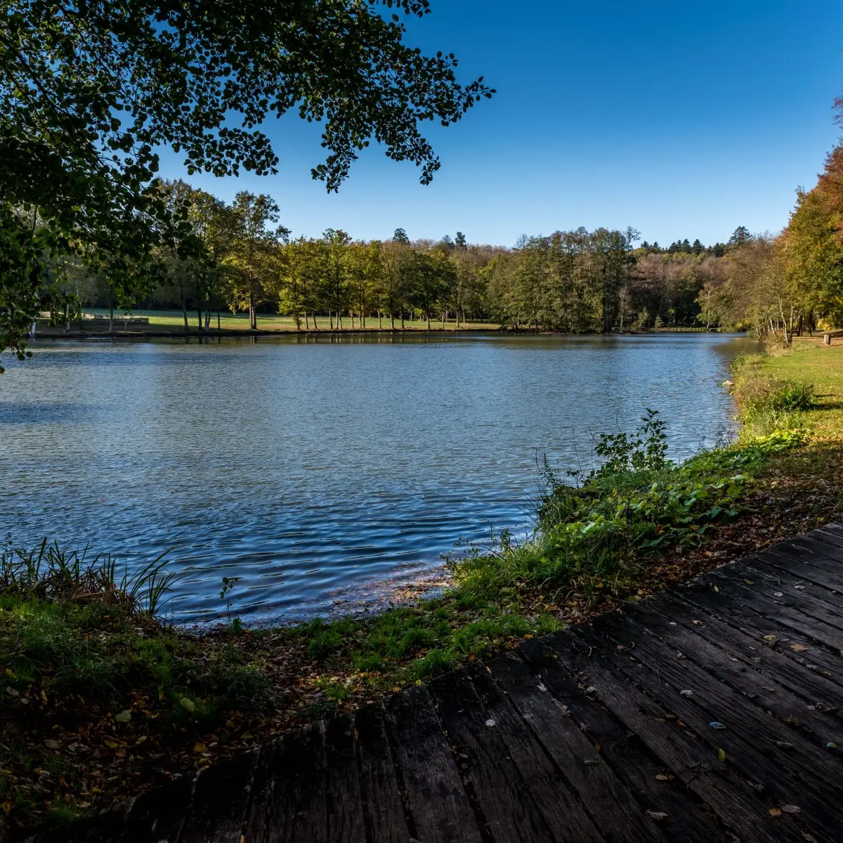 Etang de Courtanvaux