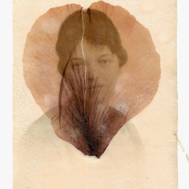Inconnue, Photo transfert sur pétale