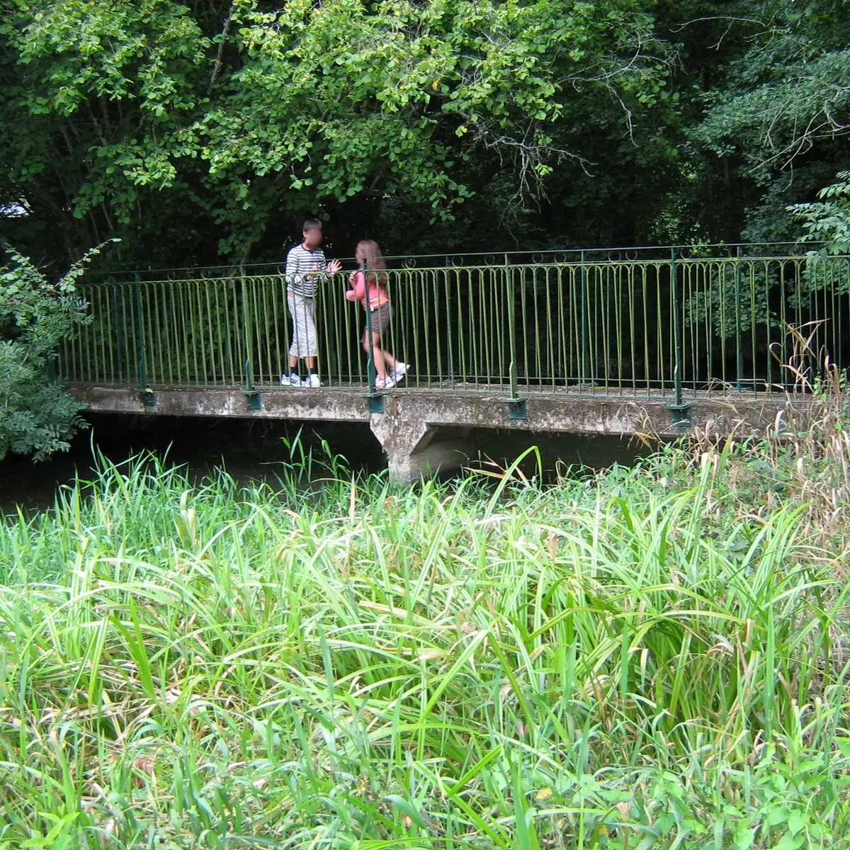 pont à l'aire de pique-nique - Marillet - 85