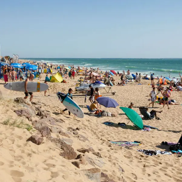 plage-terriere (1)