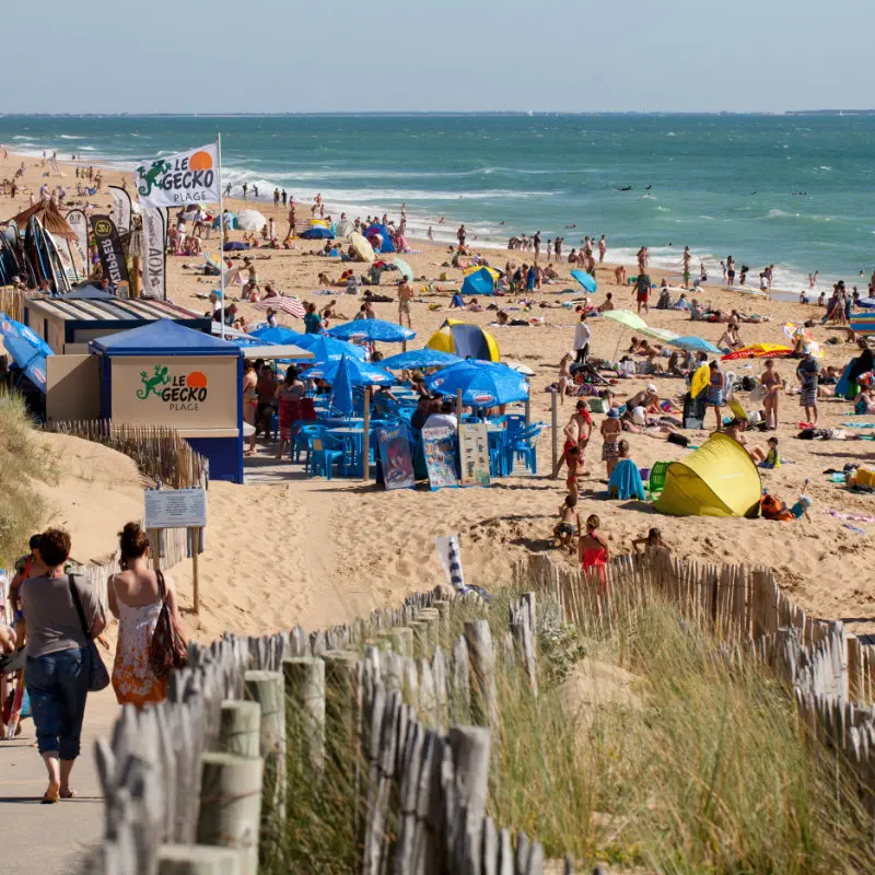 plage terrière
