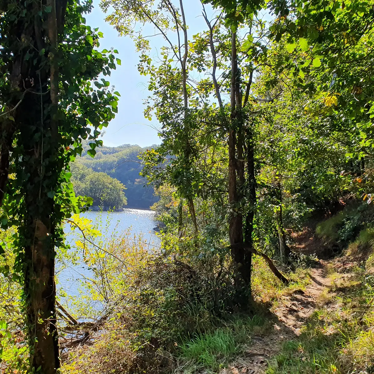randonnée-la-fontaine-à-l-ermite-l-orbrie-foret-mervent-85200-1